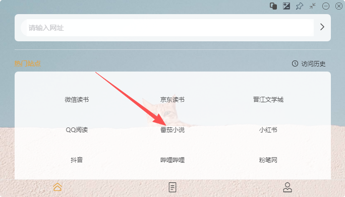 无边阅读器软件主页截图